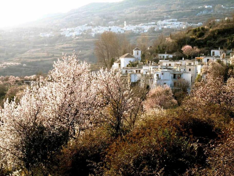 Casa Carmela, Rural House With Spectacular Views, In An Exquisite Area Villa Atalbeitar Kültér fotó